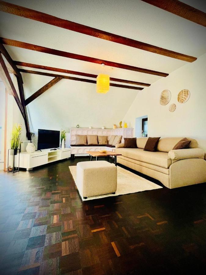 Chris & Aris Ferienwohnung Waldshut Zentrum Kültér fotó